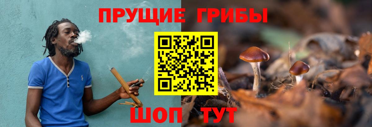 Псилоцибиновые грибы Cubensis  Вход с VPN  Когалым 